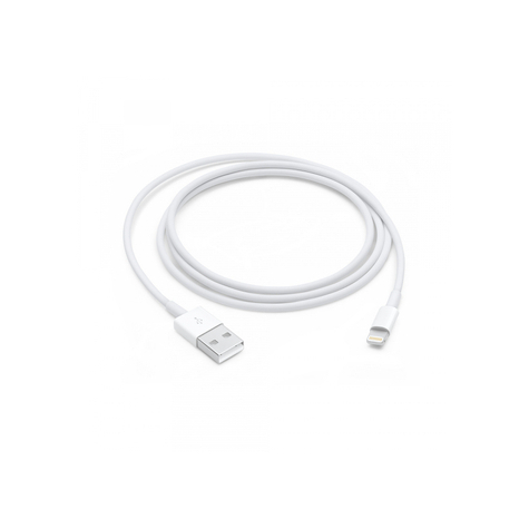 Apple Lightning Auf Usb Kabel (1 M)