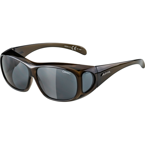 Sonnenbrille Alpina Overview    