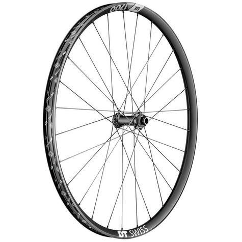 Vr Dt Swiss Ex 1700 Spline Db 29"/30mm  