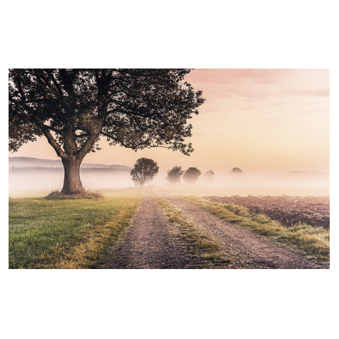 Non-Woven Wallpaper - Misty Morning - Size 400 X 250 Cm